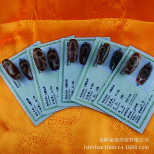 藏传珍品佛教佛珠收藏西藏天然老矿天珠15*30mm带鉴定证书信息