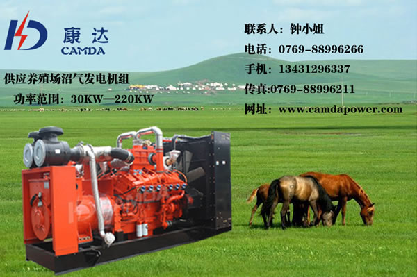 高品质康达H系列沼气发电机组厂家直销信息