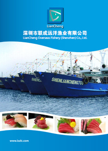 深圳联成远洋太平洋产地A级冰鲜金枪鱼产品，诚征各地经销商信息
