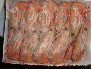 长期超低温优质极品船冻牡丹虾(生食)信息