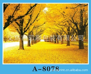 PP60*80装饰画批发厂家直销装饰画批发A-8078装饰画批发信息