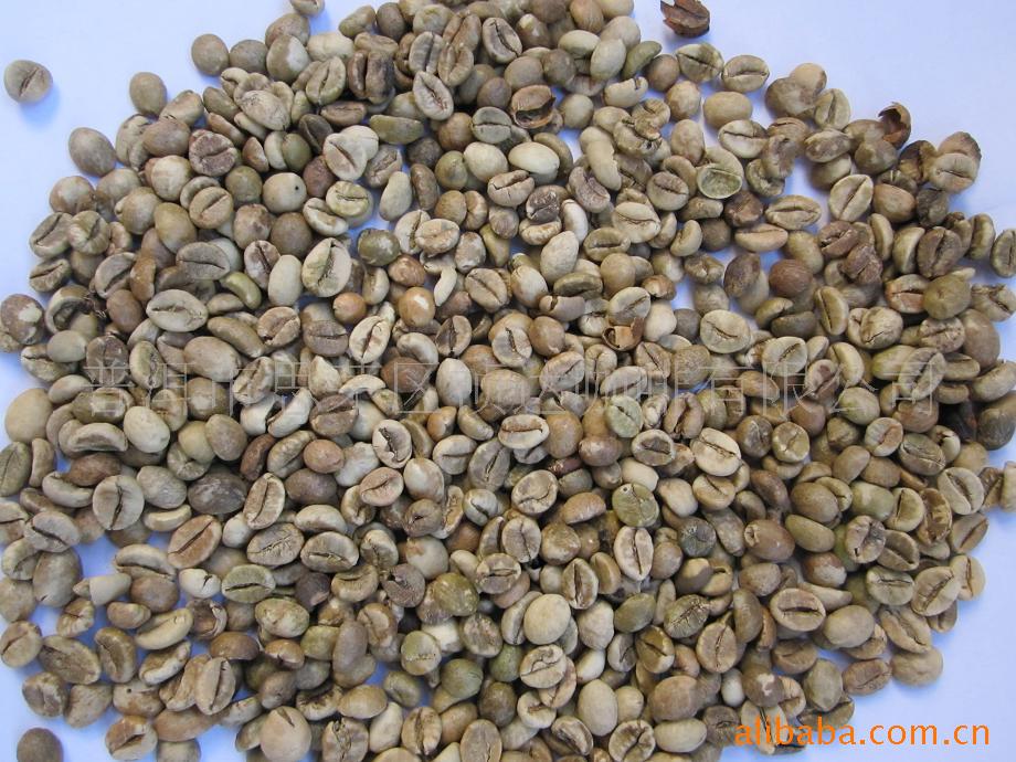 咖啡豆中粒种18目信息