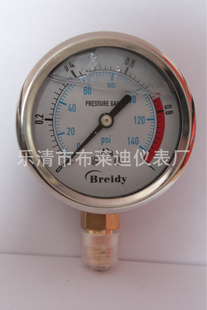 耐震压力表YN-60-1MPA充油表信息