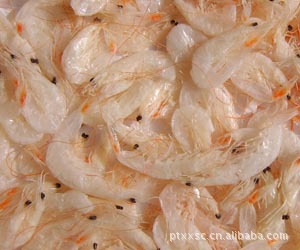 大量优质新鲜虾米虾仁水产养殖信息