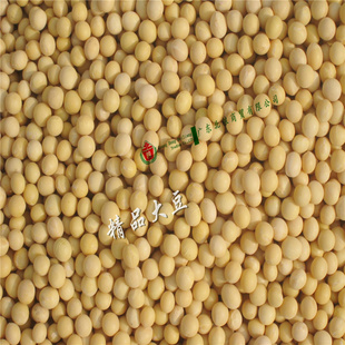 2013-12价【大豆黄豆】厂家批发东北非转基因优质大豆(全国发货)信息