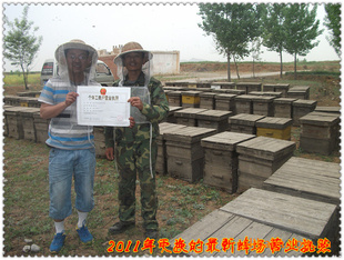 农村山小枣蜂蜜优质纯天然浓度高食品原料河南农村蜂场信息