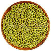 山西特产优质绿豆（食品级，精选原粮）信息