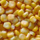 山东省巨鑫源425甜玉米罐头信息