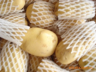 2012年新鲜蔬菜保鲜土豆新鲜冷库土豆出售优质马铃薯信息