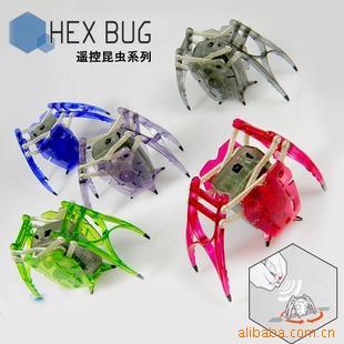 实拍！HEXBUG新系列遥控电子昆虫电子尺蠖信息