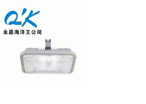 海洋王NFC9175长寿顶灯（NFC9175长寿顶灯）信息