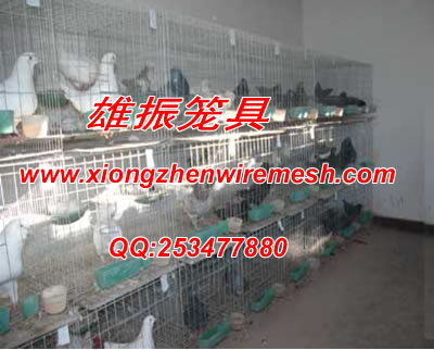 鸽笼-江苏鸽子笼子，鸽子笼子价格，江苏鸽子笼子规格信息
