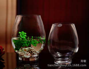 玻璃鱼缸清新恐龙蛋花瓶水培透明玻璃花瓶信息
