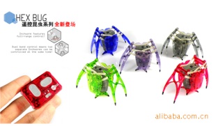 新奇特/遥控电子宠物电子昆虫蜘蛛电子尺蠖创意玩具一件起批信息