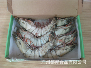 野生7条大草虾信息
