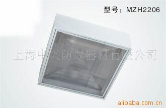 高效节能油站专用灯MZH2206信息