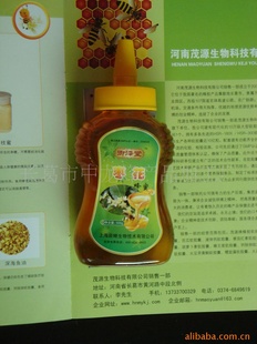 批发大桶装枣花蜂蜜成熟蜂蜜原蜜补血和脾/养胃疗损信息