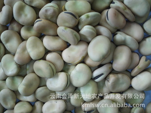 2013年云南产优质蚕豆可用作油炸蚕豆原料品质保证信息