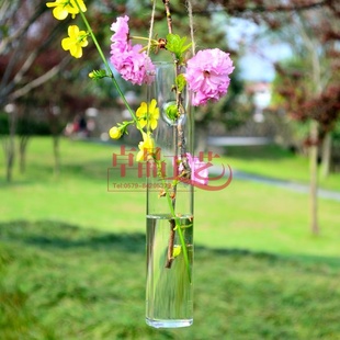 欧式悬挂式透明圆管形玻璃花瓶悬挂式水培花瓶创意家居装饰信息