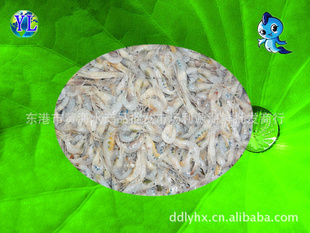 海鲜-丹东利源海鲜批发商行长期优质青虾信息