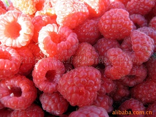 树莓，冷冻树莓,红树莓冻果信息