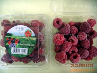 北京汉丰隆速冻红莓froZenraspberry信息