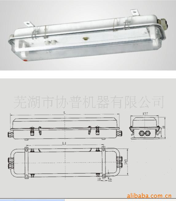 带蓄电池应急荧光舱顶灯信息