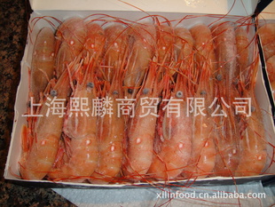 牡丹虾加拿大产牡丹虾欢迎来电咨询信息