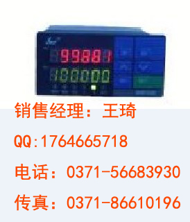 供应SWP-DS-L401，双六位线速表，转速表，昌晖信息