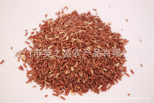 批发红米五谷杂粮优质红米信息