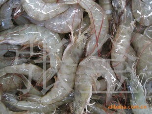 海产品海鲜南美白虾批发信息