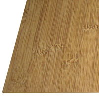 竹板生产厂家 竹家具板 工艺竹板 卫浴竹板 碳化竹板信息