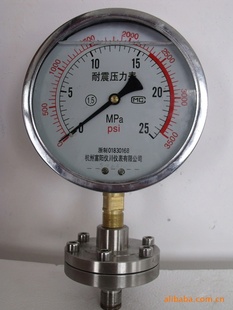 富阳杭州仪川仪表耐震压力表螺纹式隔膜YNTP-100信息
