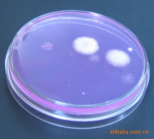 表面微生物接触碟法，接触碟，培养皿，特殊的培养皿信息