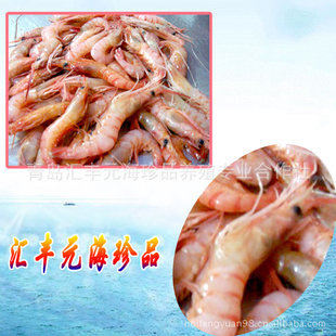 汇丰元海产品专业提供优质高蛋白营养红虾信息