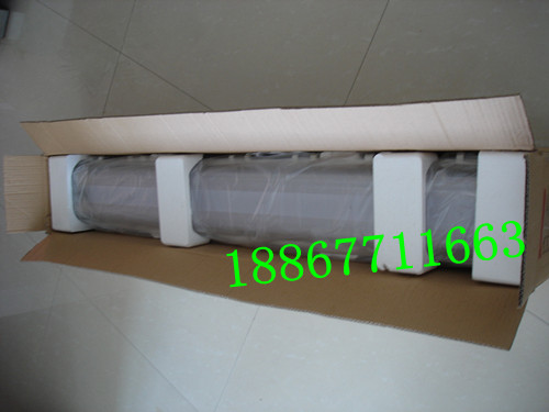 批发BYS-2*40防爆防腐全塑荧光灯信息