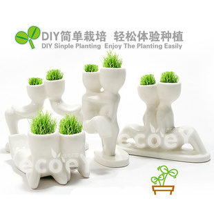 魔草种植偎依DIY微型盆景开心农场迷你植物信息