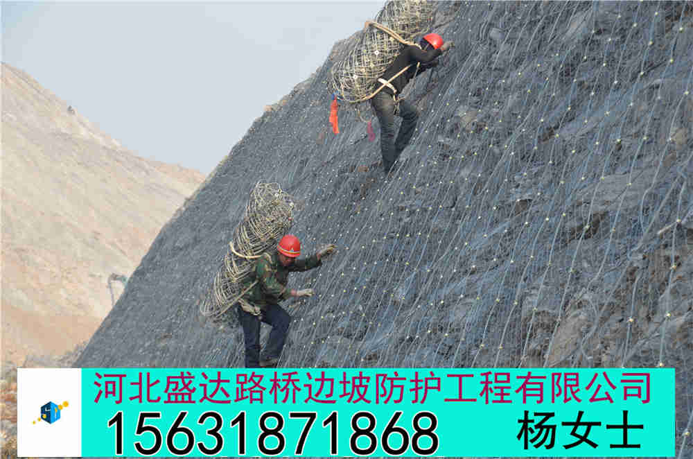 布鲁克网厂家 布鲁克网定制 布鲁克网批发信息