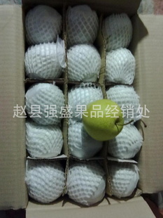 l梨果基地批发河北雪花梨，河北水晶梨，皇冠梨，四季有货。信息