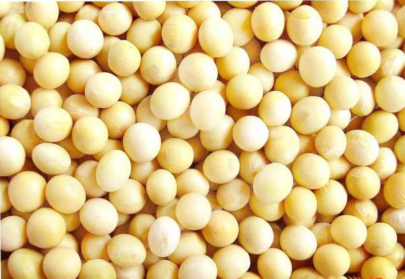 进口黄豆每吨3200元出售信息