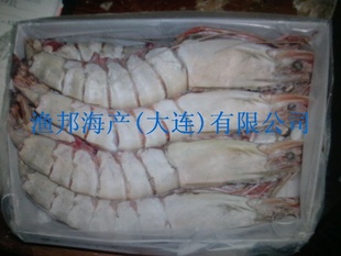 海捕大海虾信息