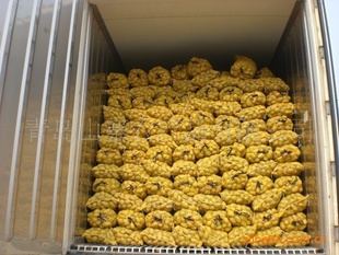 荷兰土豆保鲜土豆土豆加工厂土豆批发产地直销土豆信息