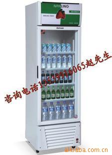 南凌牌LG-280立式单门冰柜冰箱信息