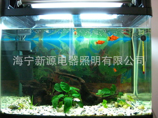 水族箱观赏灯---水族白20W信息