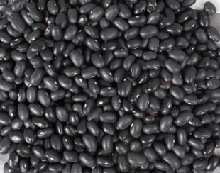 东北原产优质黑芸豆大连芸豆厂家直销芸豆批发黑芸豆芸豆信息