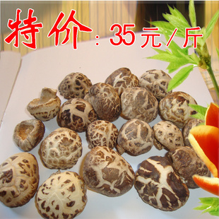 大量批发花菇香菇茶花菇冬菇3-3.5cm花菇信息