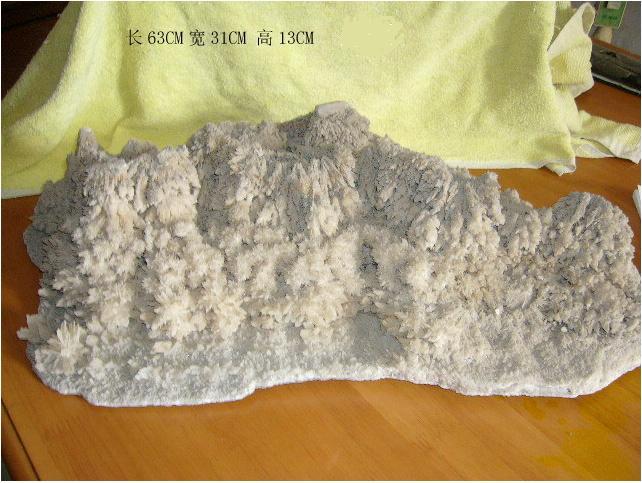 供应福建厦门天然工艺品 纯天然钟乳石原始森林信息