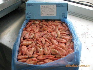 进口野生北极甜虾120+，净重10kg以上信息