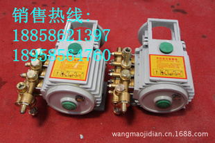 清洗机专用泵头QL-280QL-380清洗机专用信息