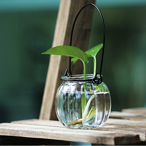 南瓜瓶 插花瓶 水培瓶 铁线玻璃吊瓶 植物水培容器信息